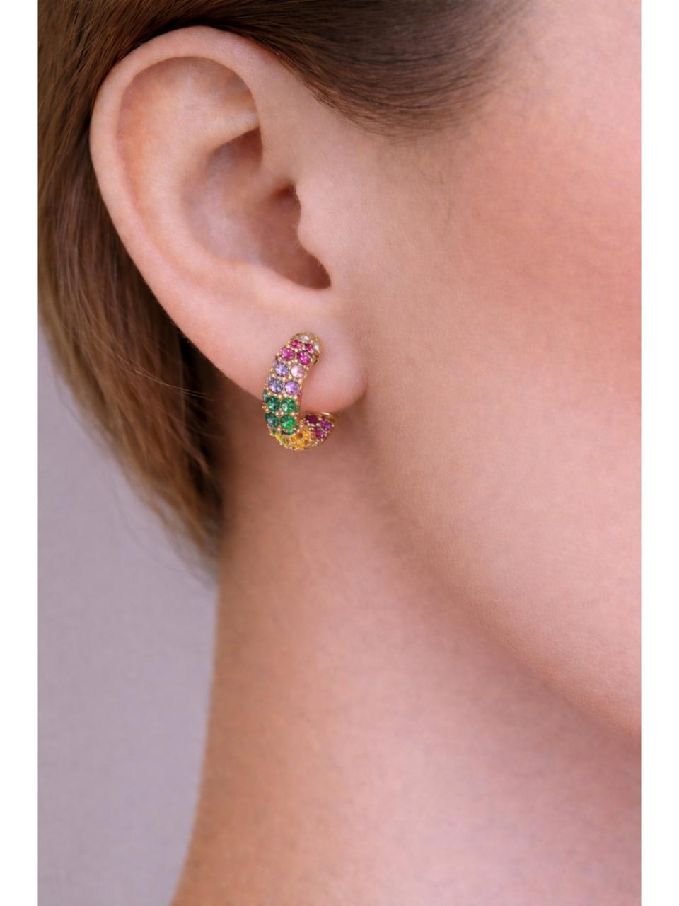 Color Curve Earrings
