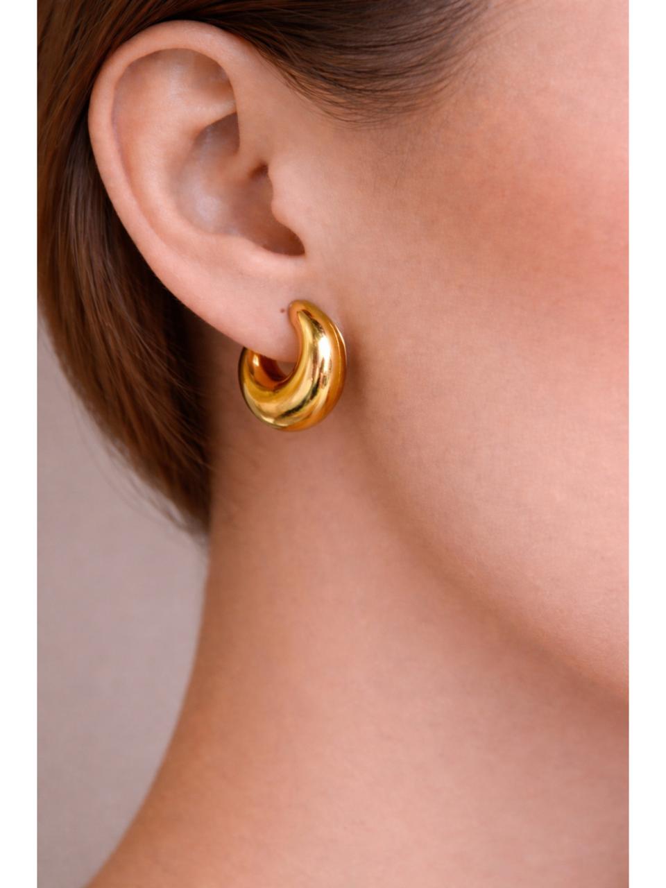 Bold Curve Earrings